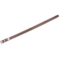 Leg Straps Auto Electric Service Ltd.