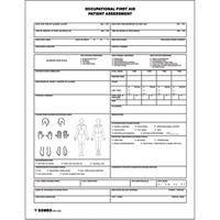 Patient Assessment Chart Auto Electric Service Ltd.
