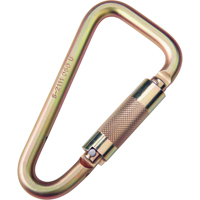Saflok Carabiners, Steel, 3600 lbs Capacity Auto Electric Service Ltd.