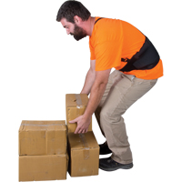 Back Support, Elastic, Small Auto Electric Service Ltd.