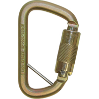 Rollgliss Technical Rescue Offset D Fall Arrest Carabiner, Steel, 3600 lbs Capacity Auto Electric Service Ltd.