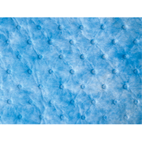 Oil Only Sorbent Sweep Auto Electric Service Ltd.