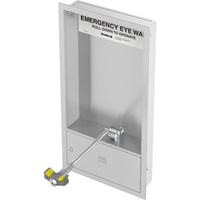 Eyewash Station, Wall-Mount Installation, Stainless Steel Bowl Auto Electric Service Ltd.