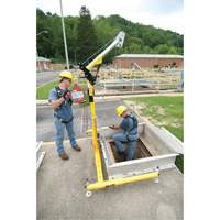 4-Piece Hoist System with Manhandler Hoist/Winch Auto Electric Service Ltd.