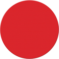 Armor Stripe Lean/5S Markers, Circle, 6" L x 6" W, Red, Plastic Auto Electric Service Ltd.