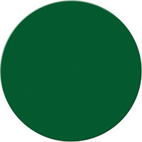 Armor Stripe Lean/5S Markers, Circle, 6" L x 6" W, Green, Plastic Auto Electric Service Ltd.
