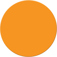 Armor Stripe Lean/5S Markers, Circle, 6" L x 6" W, Orange, Plastic Auto Electric Service Ltd.