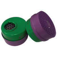 Cartouche pour respirateur, Combinaison cartouche et filtre contre les particules pour gaz/vapeurs, Ammoniac/M&eacute;thylamine/Filtre P100 Auto Electric Service Ltd.