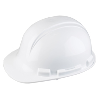 Casque de s&eacute;curit&eacute; Whistler de North, R&eacute;pond aux normes CSA type 1, Suspension Rochet, Non ventil&eacute; Auto Electric Service Ltd.