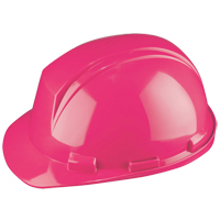Casque Mont-Blanc de North, R&eacute;pond aux normes CSA type 2, Suspension Rochet, Non ventil&eacute; Auto Electric Service Ltd.