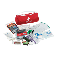 Trousse de premiers soins pour auto Dynamic, Dispositif m&eacute;dical Classe 1, Sac en nylon Auto Electric Service Ltd.