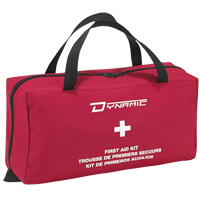 Trousse de premiers soins de luxe pour la maison Dynamic, Dispositif m&eacute;dical Classe 1, Sac en nylon Auto Electric Service Ltd.
