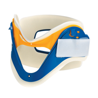 Dynamic Collar Auto Electric Service Ltd.