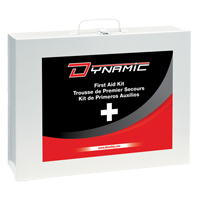 Dynamic General-Purpose Industrial First Aid Kit, Class 1 Medical Device, Metal B Auto Electric Service Ltd.