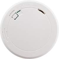 Photoelectric Smoke Alarm Auto Electric Service Ltd.