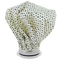 Ice Bag Auto Electric Service Ltd.