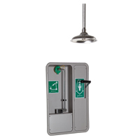Douche et douche oculaire/faciale, Montage au plafond Auto Electric Service Ltd.