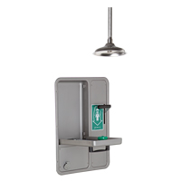 Douche et douche oculaire/faciale, Montage au plafond Auto Electric Service Ltd.