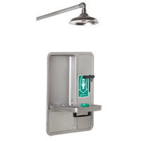Douche et douche oculaire/faciale, Montage au plafond Auto Electric Service Ltd.