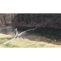 Balle SpillBoa, Huile seulement, 25' lo x 5" la, Absorption 28 gal., 4 /pqt Auto Electric Service Ltd.