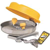 Eyewash Station, Wall-Mount Installation, Stainless Steel Bowl Auto Electric Service Ltd.