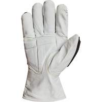 Gants r&eacute;sistant &agrave; la coupe et aux chocs Endura 378GKGVBE, 2T-Grand, Paume en Ch&egrave;vre, Poignet Conducteur Auto Electric Service Ltd.