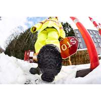 Heavy-Duty Traction Aid, Tungsten Carbide, Stud Traction, Small Auto Electric Service Ltd.