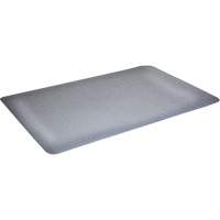 Tapis antimicrobiens WD Foodmaster, Lisse, 3' x 4' x 9/16", Gris, Nitrile/Caoutchouc Auto Electric Service Ltd.