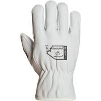 Gants de conducteur doubl&eacute;s pour l'hiver Endura, T-Grand, Paume en Cuir fleur de ch&egrave;vre, Thinsulate Auto Electric Service Ltd.