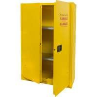Flammable Storage Cabinet, 45 gal., 2 Door, 43" W x 65" H x 18" D Auto Electric Service Ltd.