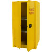 Armoire pour produits inflammables, 60 gal., 2 Porte(s), 34" La x 65" h x 34" p Auto Electric Service Ltd.