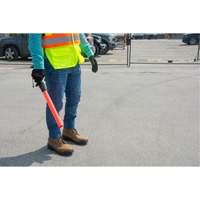 Safety Baton Light Auto Electric Service Ltd.