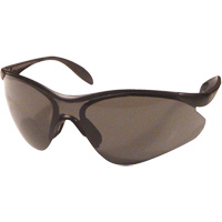Miranda Safety Glasses, Grey Lens, Anti-Scratch, Meets/Exceeds CSA Z94.3 Auto Electric Service Ltd.