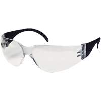 CeeTec Safety Glasses, Clear Lens, Anti-Fog/Anti-Scratch, Meets/Exceeds CSA Z94.3 Auto Electric Service Ltd.