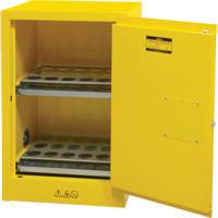 Flammable Aerosol Storage Cabinet, 12 gal., 1 Door, 23" W x 35" H x 18" D Auto Electric Service Ltd.