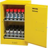 Flammable Aerosol Storage Cabinet, 12 gal., 1 Door, 23" W x 35" H x 18" D Auto Electric Service Ltd.