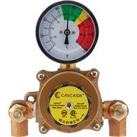 Mixing Valve for Exposed Assembly of Eye/Facewash, 9 gpm Auto Electric Service Ltd.