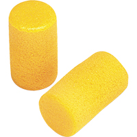 E-A-R Classic Earplugs, Pair - Pillow Pack, Large Auto Electric Service Ltd.