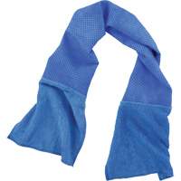 Chill-Its 6604 Multi-Purpose Cleaning and Cooling Towel, Blue Auto Electric Service Ltd.