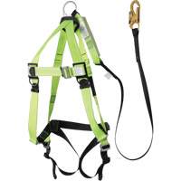 FBH-10000A5440-4 4' Class A Harness & Lanyard with 220 lbs. Capacity, Harness/Lanyard Combo Auto Electric Service Ltd.
