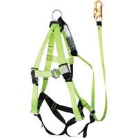FBH-10000A6440-4 4' Class A Harness & Lanyard with 350 lbs. Capacity, Harness/Lanyard Combo Auto Electric Service Ltd.