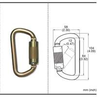 CP-03015-2 Zinc Plated Carabiner with 3/4" Gate Opening, Steel Auto Electric Service Ltd.