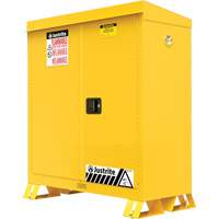 Outdoor Flammable Storage Cabinet, 30 gal., 2 Door, 43" W x 44" H x 18" D Auto Electric Service Ltd.