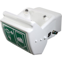 Eye/Face Wash, Wall-Mount Installation, Plastic Bowl Auto Electric Service Ltd.