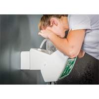 Eye/Face Wash, Wall-Mount Installation, Plastic Bowl Auto Electric Service Ltd.