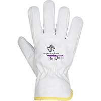 Gants r&eacute;sistants &agrave; la coupe Endura 378WGKGTL, Taille T-petit, Enveloppe en Ch&egrave;vre/TenActiv/Thinsulate, ASTM ANSI niveau A6 Auto Electric Service Ltd.