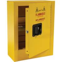 Mini Flammable Safety Cabinet, 2 Gal., 1 Door, 17" W x 22" H x 8" D Auto Electric Service Ltd.