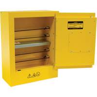 Mini Flammable Safety Cabinet, 2 Gal., 1 Door, 17" W x 22" H x 8" D Auto Electric Service Ltd.
