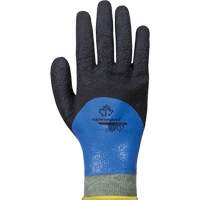 Gants r&eacute;sistants &agrave; la coupe &agrave; rev&ecirc;tement double SCXPNTFC, Taille 6, Calibre 13, Rev&ecirc;tement Nitrile, Enveloppe en ParaActiv, ASTM ANSI niveau A5 Auto Electric Service Ltd.