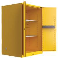 Armoire de s&eacute;curit&eacute; pour produits inflammables Utili-Guard+, 45 gal., 2 Porte(s), 43" La x 65" h x 22" p Auto Electric Service Ltd.